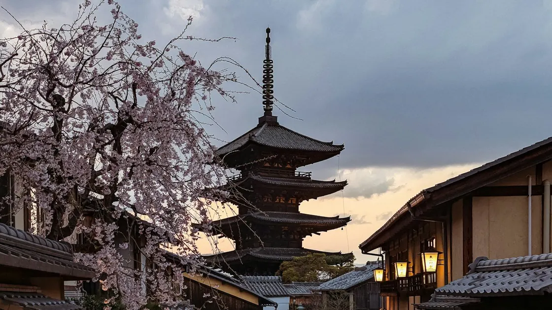 Pagoda and cherry blossoms in Kyoto